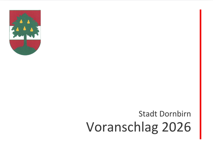 Ein Blick ins neue Jahr: Bericht aus der Stadtvertretung am 16. Dezember 2025